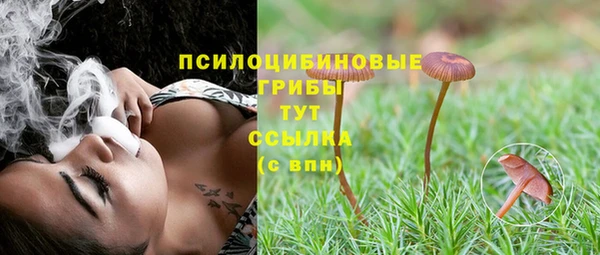 ПСИЛОЦИБИНОВЫЕ ГРИБЫ Горнозаводск