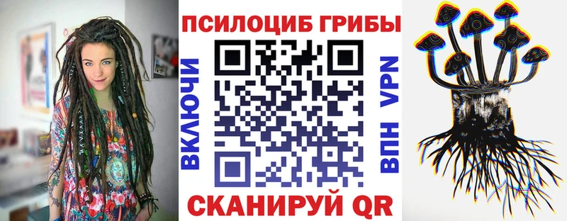 Галлюциногенные грибы Psilocybine cubensis  Зея 